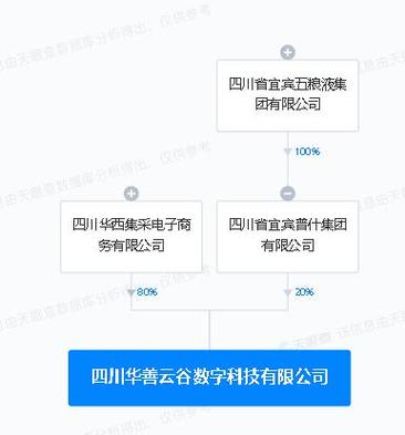 五糧液再落子數字科技，宜賓新公司聚焦信息系統集成服務